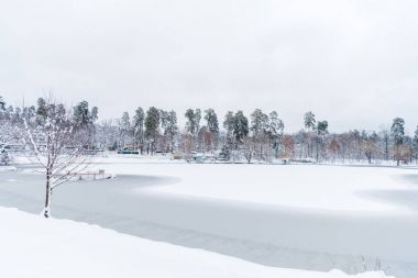güzel karla kaplı ağaçlar ve donmuş göl kış Park 