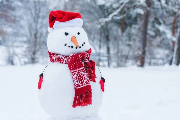 在圣诞老人帽子 围巾和棒球手套我冬天公园的雪人的关闭视图 — 图库照片