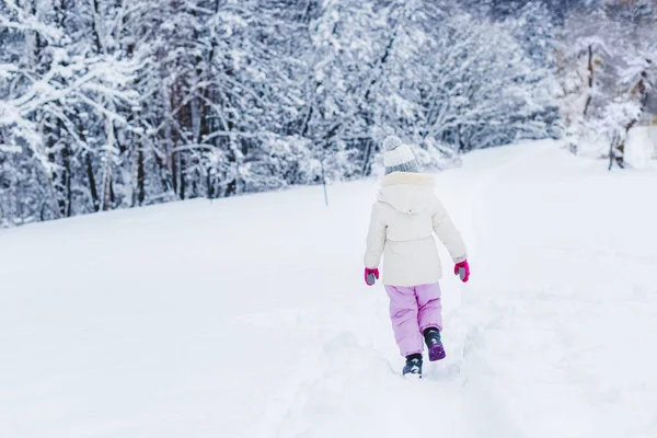 Visão Traseira Criança Pequena Roupas Quentes Andando Neve Parque Inverno — Fotografia de Stock