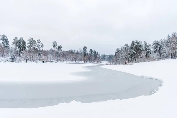 Vacker Utsikt Över Snötäckta Träd Och Frusen Sjö Vinterparken — Stockfoto