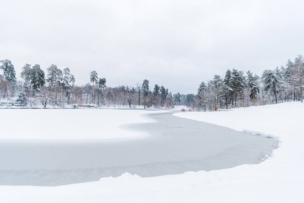 scenic view of snow covered trees and frozen lake in winter park