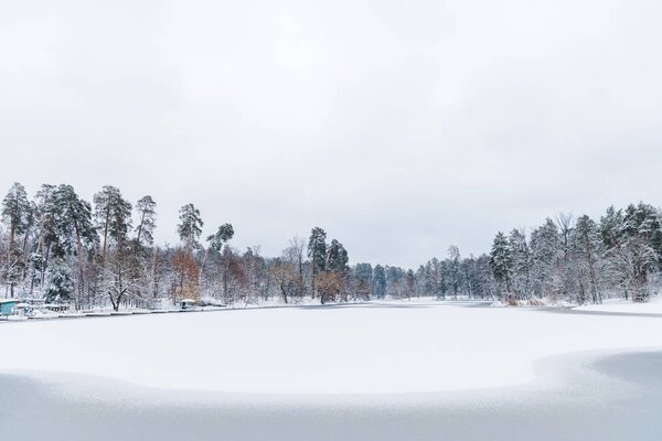 красивый пейзаж с заснеженными деревьями и замерзшим озером в зимнем парке
 
