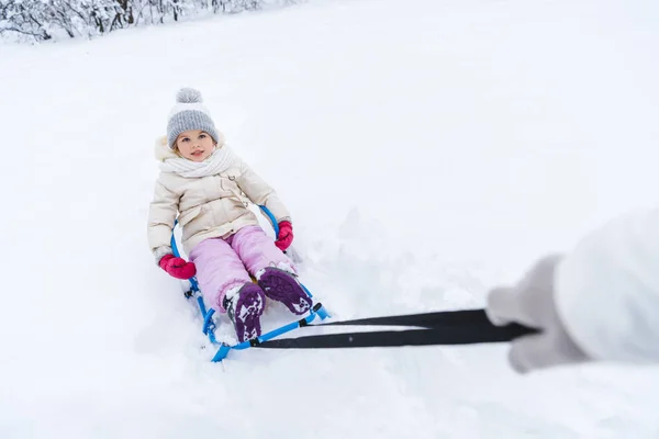 Atış Bir Kızak Kış Parkta Oturan Sevimli Küçük Çocuk Taşıyan — Stok fotoğraf