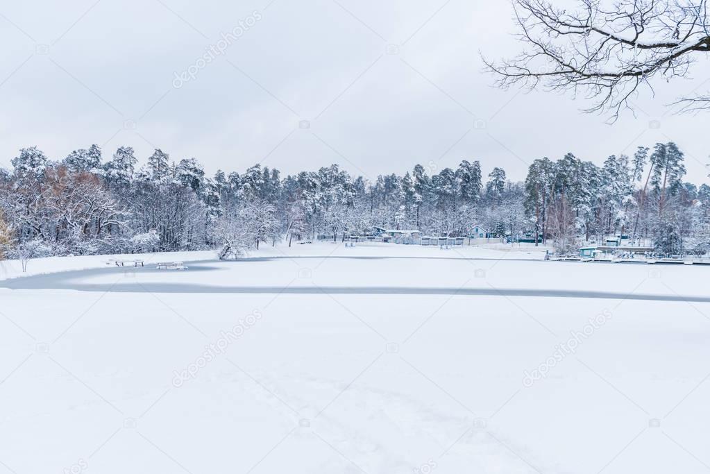 beautiful landscape with frozen lake and snow covered trees in winter park