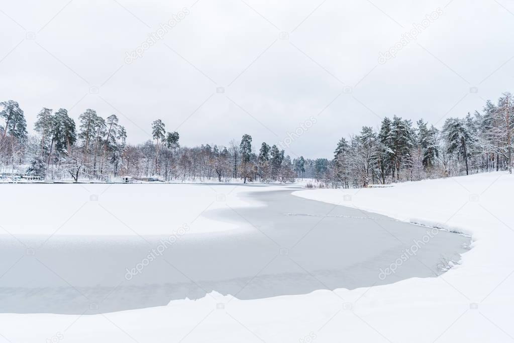 scenic view of snow covered trees and frozen lake in winter park