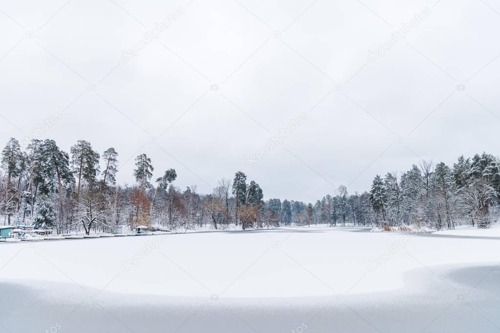 beautiful landscape with snow covered trees and frozen lake in winter park 