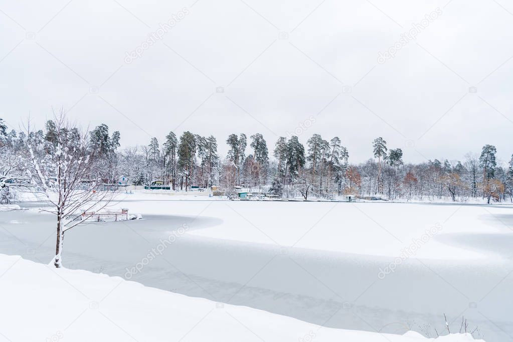 beautiful snow covered trees and frozen lake in winter park 