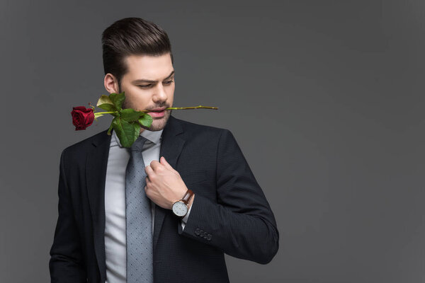 handsome man in suit holding red rose in mouth, isolated on grey