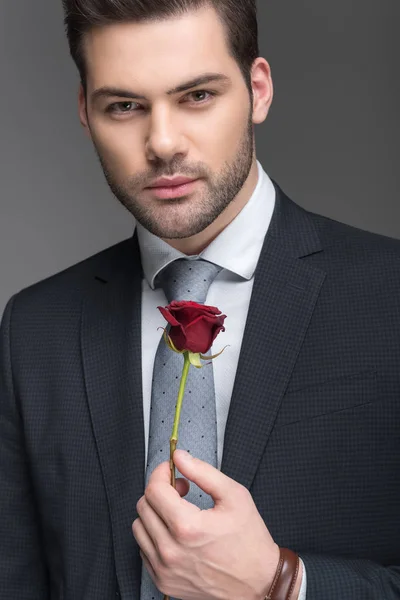 Hombre Guapo Traje Sosteniendo Rosa Roja Aislado Gris — Foto de Stock