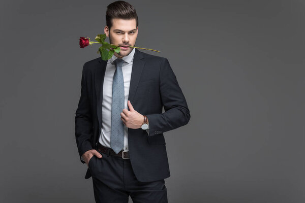 handsome man in suit holding red rose in mouth, isolated on grey