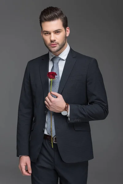 Hombre Barbudo Guapo Traje Sosteniendo Rosa Roja Aislado Gris — Foto de Stock