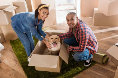 happy african american couple with labrador dog in cardboard box moving to new home clipart