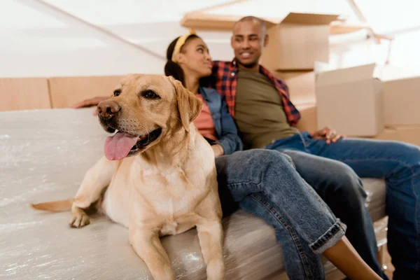 Afrikaanse Amerikaanse Echtpaar Met Labrador Hond Rust Bank — Stockfoto