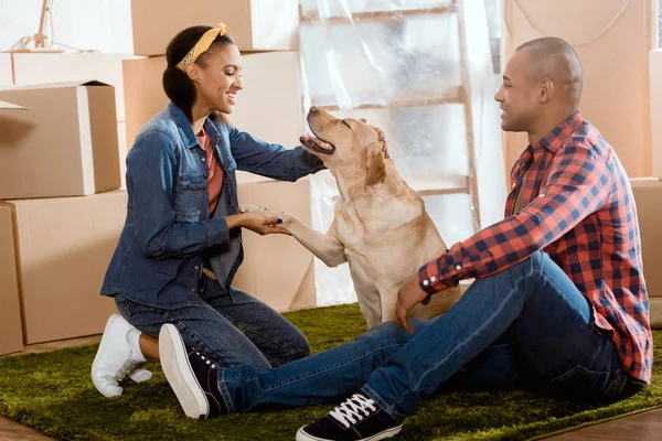 Casal Afro Americano Com Cão Labrador Mudando Para Novo Apartamento — Fotografia de Stock