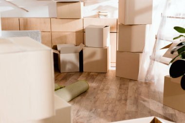 rolled carpet and cardboard boxes in new apartment, moving concept clipart