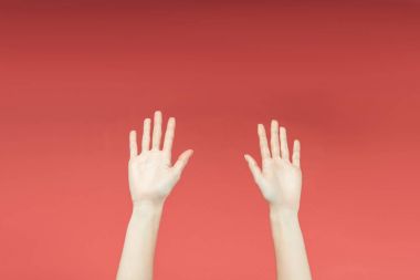 cropped view of female hands raised up, isolated on red clipart