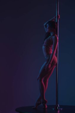 Kutbu'nda yaslanmış ve uzak mavi üzerinde seyir sportif baştan çıkarıcı kız yan görünüm