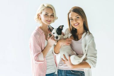 jack russell terrier köpek, üzerinde beyaz izole gülümseyen güzel kızla