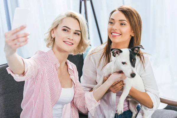 Mooie Vrouwen Met Jack Russell Terrier Hond Thuis — Gratis stockfoto
