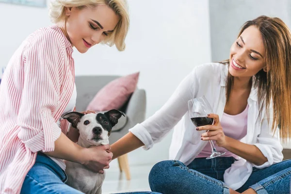犬と自宅で赤ワインのガラスを持つ美しい女の子 — ストック写真