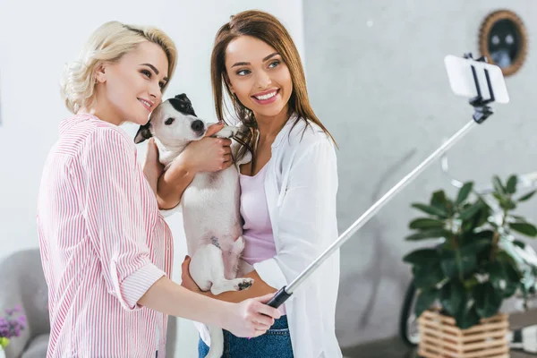 Attractive Girls Taking Selfie Jack Russell Terrier Dog — Free Stock Photo