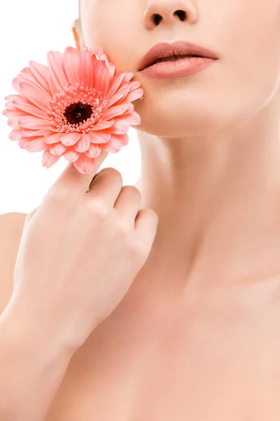 Vista Cortada Menina Com Pele Fresca Segurando Gerbera Isolado Branco — Fotografia de Stock