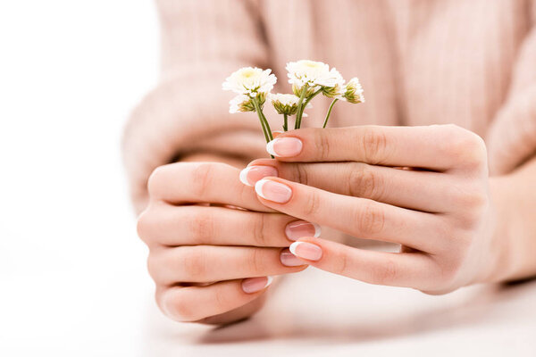 cropped view of girl with natural manicure holding daisies, isolated on white