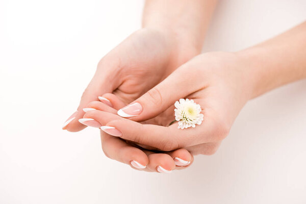 partial view of girl with natural manicure holding daisy, isolated on white