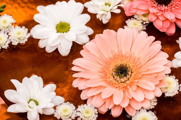 Gänseblümchen Und Gerbera Blüten Metallischen Teller Für Die Wellness Behandlung — Stockfoto