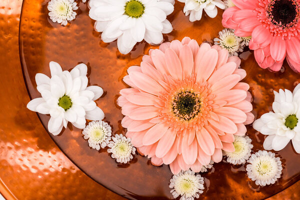 top view of daisies and gerbera flowers in metalic plate for spa procedure