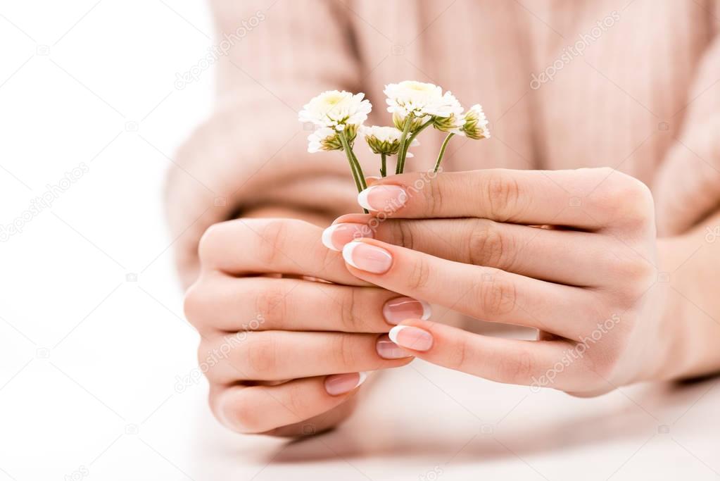 cropped view of girl with natural manicure holding daisies, isolated on white