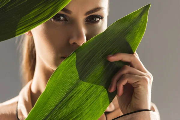 Portrait Young Beauty Green Leaves Isolated Grey — Stock Photo, Image