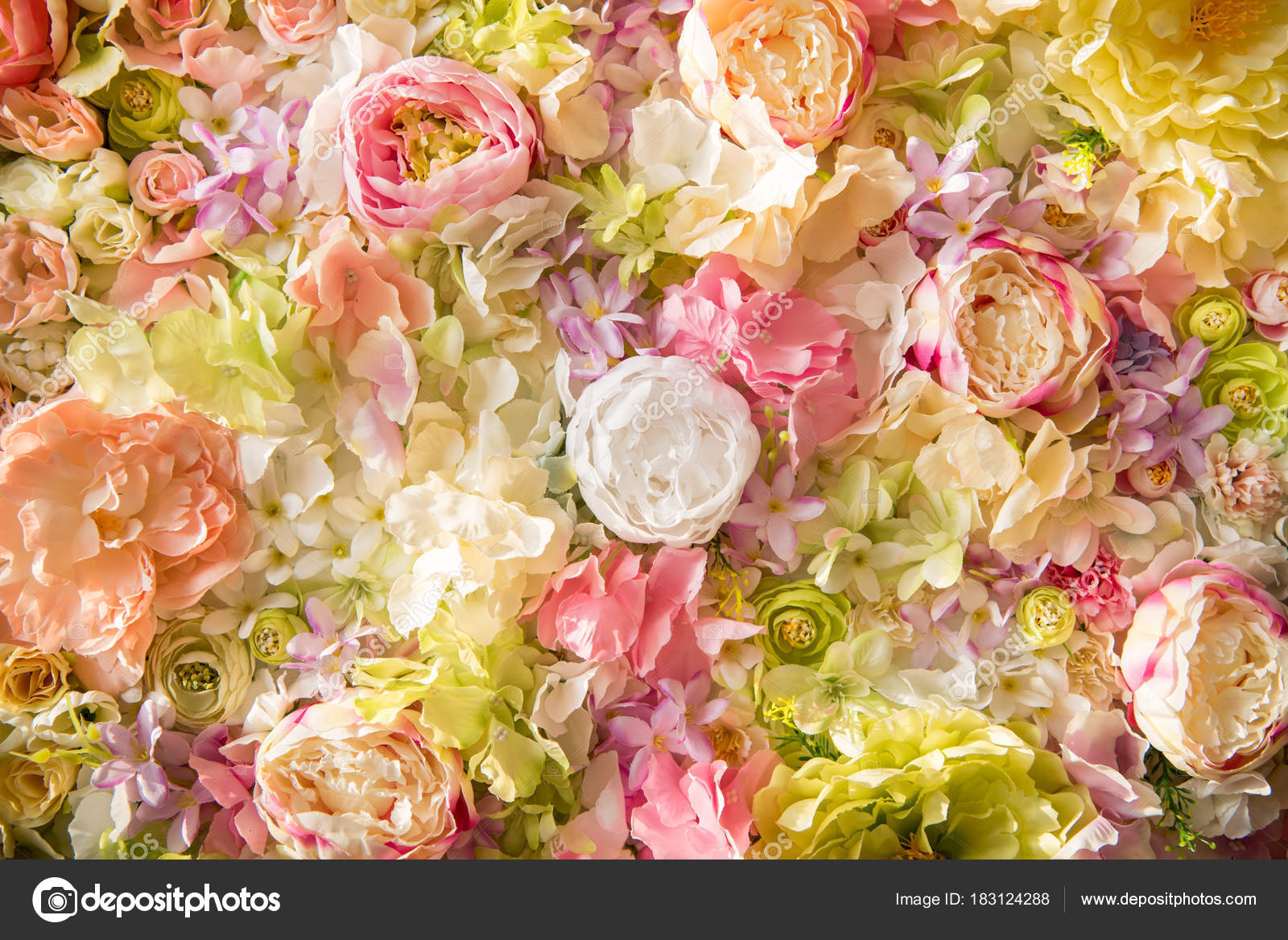 Anniversaire Fleurs Images Libres De Droit Photos De Anniversaire Fleurs Depositphotos