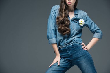 cropped view of girl posing in denim shirt with flower, isolated on grey clipart