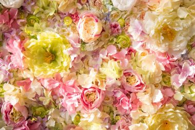 beautiful floral background with tender flowers clipart