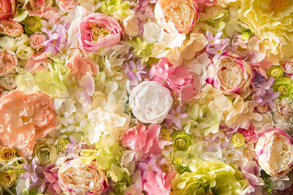Vista de primer plano de hermoso fondo floral con flores elegantes tiernas — Imagen de stock Vista Primer Plano Hermoso Fondo Floral Con Flores Elegantes Tiernas Imagen De Stock