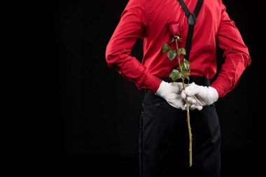 rose arkasında saklanıyor MIME kırpılmış görüntü geri izole üzerinde siyah