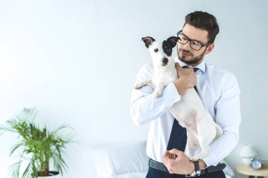 holding gözlük yakışıklı işadamı jack russell terrier köpek