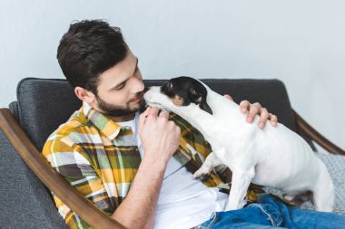 yakışıklı adam ve jack russell terrier köpek evde koltukta oturan 