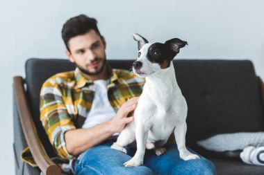köpek ile kanepede oturan Kareli gömlekli yakışıklı adam