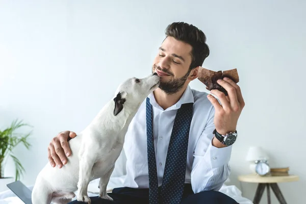Homem Negócios Comendo Muffin Sentado Cama Com Jack Russell Terrier — Fotografia de Stock
