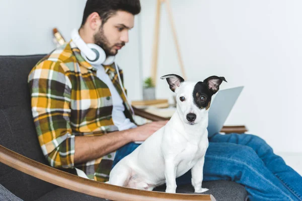 Homem Bonito Usando Laptop Enquanto Sentado Sofá Com Cão — Fotografia de Stock