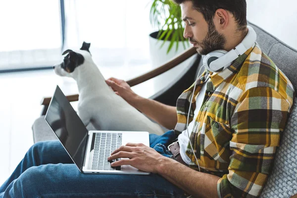 Skäggig Man Använder Laptop Medan Sitter Soffan Med Hund — Stockfoto