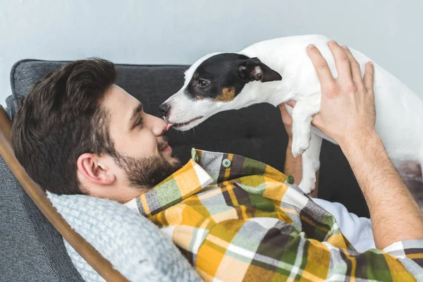 Cão — Fotografia de Stock