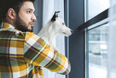 bearded man holding jack russell terrier dog and looking at window