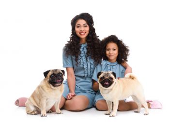 happy young mother and daughter sitting on floor with two pugs isolated on white clipart