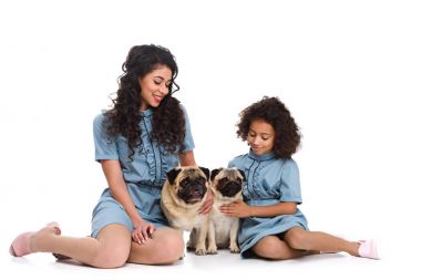 mother and daughter sitting on floor with two pugs isolated on white clipart