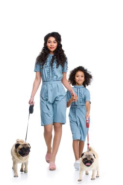 beautiful mother and daughter in similar dresses walking with pugs isolated on white clipart