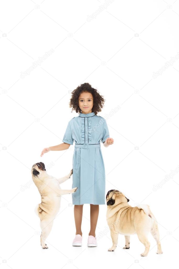 beautiful little child with pug puppies isolated on white
