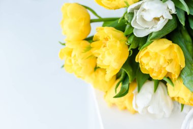 Beyaz üzerine 8 Mart için hediye ihale bahar tulip buket çiçekler